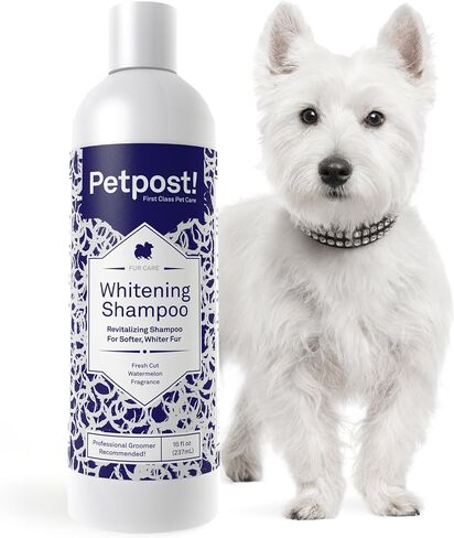 Petpost | Dog Whitening Shampoo - Best Lightening Treatment for Dogs with White Fur - Soothing Watermelon Scent - Maltese, Shih Tzu, Bichon Frise Approved - 8 oz. (8 Ounce) in Kuwait