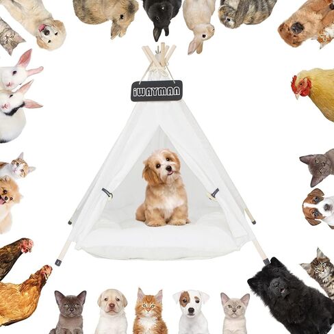 خيمة تيبي للكلاب والقطط، سرير مع وسادة سميكة ومثبت تيبي، خيمة تيبي للحيوانات الأليفة قابلة للغسل للكلاب الصغيرة والجرو والقطط مقاس 24 بوصة للاستخدام الداخلي والخارجي in Kuwait