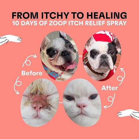 ZOOP Itch Relief Spray for Dogs, Cats - Wound Care & Hot Spot Treatment for Dogs, Irritated Dry Itchy Skin, Allergy Relief, Inflammation and Atopic Dermatitis - Complete Pet Skin Repair [8 oz.] in Kuwait