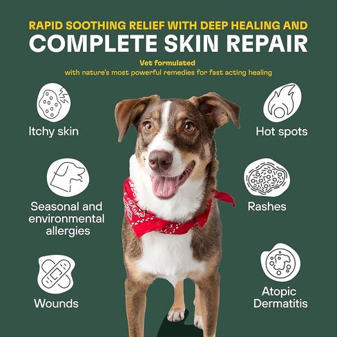 ZOOP Itch Relief Spray for Dogs, Cats - Wound Care & Hot Spot Treatment for Dogs, Irritated Dry Itchy Skin, Allergy Relief, Inflammation and Atopic Dermatitis - Complete Pet Skin Repair [8 oz.] in Kuwait