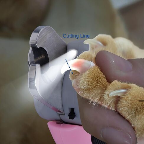 ماكينة قص أظافر الكلاب مع ضوء LED فائق السطوع لسلالة الدم، أداة تشذيب أظافر الحيوانات الأليفة من الفولاذ المقاوم للصدأ مع واقي أمان، مقبض مريح، مبرد أظافر مجاني من أجل حلاقة ناعمة وسهلة. الكلاب والقطط (وردي) in Kuwait
