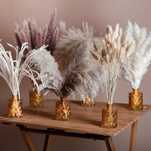 PNT CONCEPT Total 130 Pcs, 17" Set, 6 Types of Dried Flowers, Boho Home Decor, Dried Pampas Grass, Bunny Tail Grass, Pampas, Reed Grass, Bouquet for Wedding Floral Arrangements Home Decorations in Kuwait