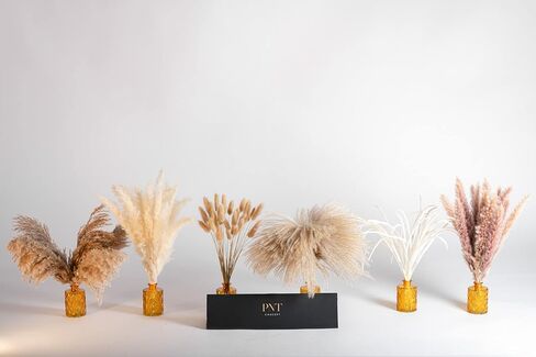 PNT CONCEPT Total 130 Pcs, 17" Set, 6 Types of Dried Flowers, Boho Home Decor, Dried Pampas Grass, Bunny Tail Grass, Pampas, Reed Grass, Bouquet for Wedding Floral Arrangements Home Decorations in Kuwait