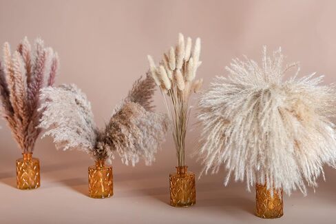 PNT CONCEPT Total 130 Pcs, 17" Set, 6 Types of Dried Flowers, Boho Home Decor, Dried Pampas Grass, Bunny Tail Grass, Pampas, Reed Grass, Bouquet for Wedding Floral Arrangements Home Decorations in Kuwait