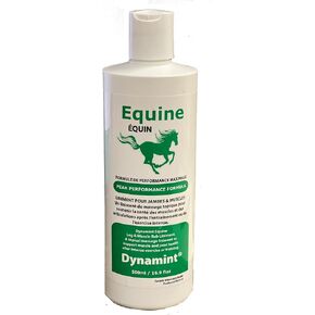 Dynamint Equine in Saudi Arabia