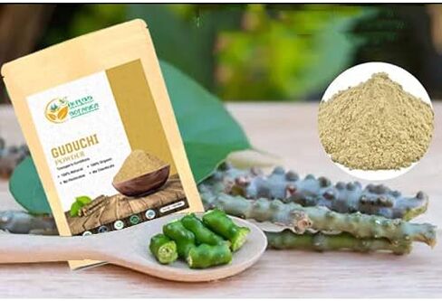 Herbs Botanica Guduchi Powder USDA Organic Neem Giloy Powder | Tinospora cordifolia | Herbsl Supplement for Immune Support, Digestion 5.3 Oz / 150 GMS in Saudi Arabia
