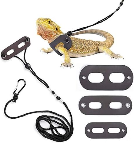 حزام ومقود التنين الملتحي قابلان للتعديل (S، M، L، 3 عبوات) - مقود وسرج الإغوانا، مقود السحلية، حبل المشي السحلية، مقود التنين الملتحي، مقود الزواحف وحزام السحالي الصغيرة in Kuwait