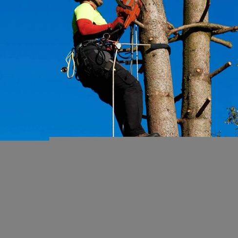 Bnineteenteam Climbing Ball Rope Tree Climbing Arborist Retriever Ball Rope Guide Ring Style Friction Saver Other Extreme Sports Products in Saudi Arabia