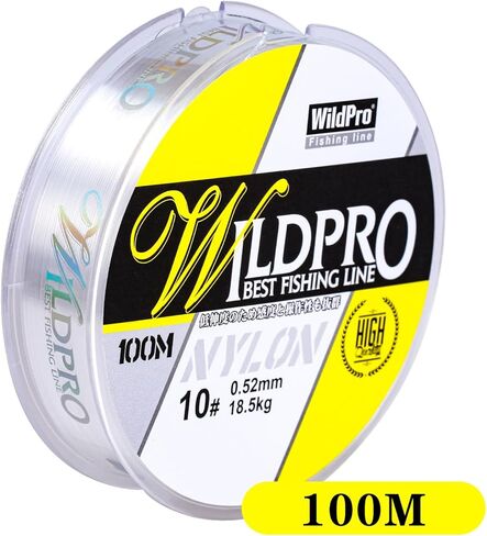Fishing Line 100m Braid Fishing Line Nylon Fishing Wire High Abrasion Resistance Monofilament Fishing Line Suitable for Saltwater and Freshwater Environments(2-35LB) in Kuwait