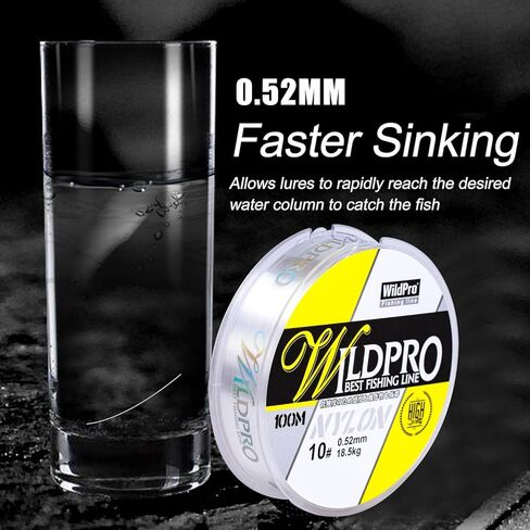 Fishing Line 100m Braid Fishing Line Nylon Fishing Wire High Abrasion Resistance Monofilament Fishing Line Suitable for Saltwater and Freshwater Environments(2-35LB) in Kuwait