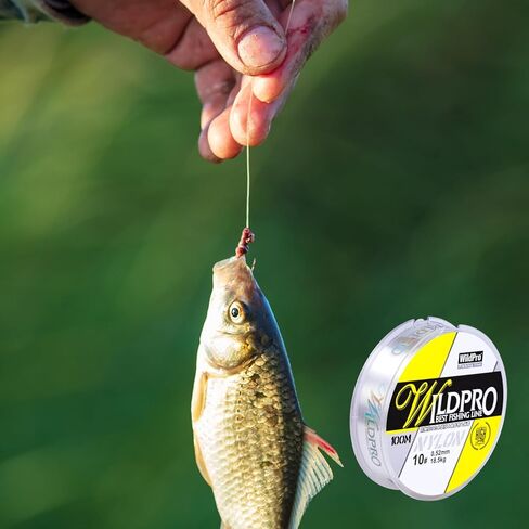 Fishing Line 100m Braid Fishing Line Nylon Fishing Wire High Abrasion Resistance Monofilament Fishing Line Suitable for Saltwater and Freshwater Environments(2-35LB) in Kuwait