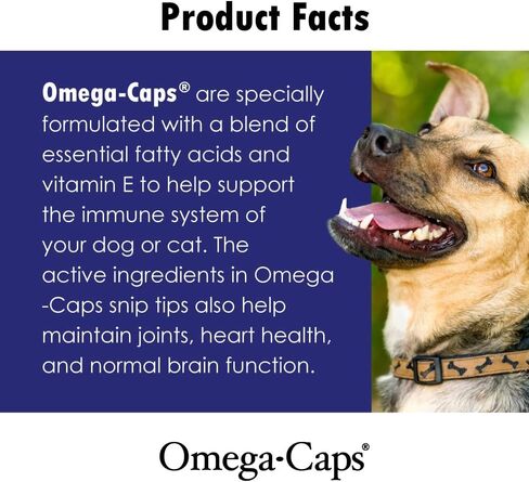 Omega Caps HP Snip Tips for Medium and Large Dogs High Potency EPA and DHA Maximum Bioavailability Fish Oil Supplement Vet Formulated Made in USA Skin Coat Joint and Heart Health 60 Capsules in Saudi Arabia