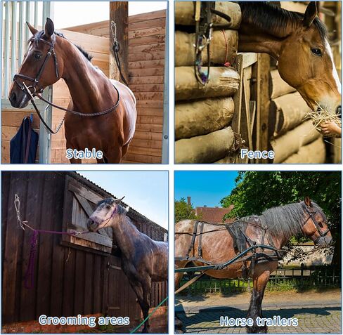 حلقة ربط الخيل من اتش اس اس زد اكس اف ار، معدات تدريب الخيل مع مسمار عين من الستانلس ستيل، حلقة ربط متينة من الستانلس ستيل للخيول تمنع الخيول من الانسحاب للخلف من قطعتين in Kuwait