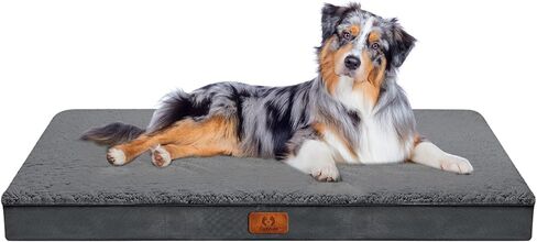 CozyLux Dog Beds for Large Dogs - Large Dog Bed for 75lbs, Egg-Crate Foam Cat Bed Mat, Removable Washable Cover, Dark Grey 36 X 27 X 3 inch in Kuwait