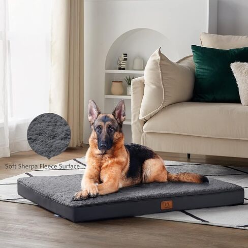 CozyLux Dog Beds for Large Dogs - Large Dog Bed for 75lbs, Egg-Crate Foam Cat Bed Mat, Removable Washable Cover, Dark Grey 36 X 27 X 3 inch in Kuwait