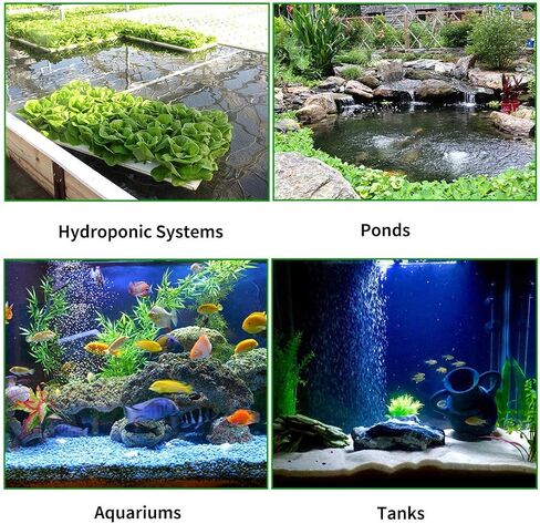 Pawfly Aquarium 4 Inch Air Stone Disc Bubble Diffuser Release Tool for Air Pumps Buckets Fish Tanks Ponds DWC Reservoirs and Circulation System - 2 Pack in Saudi Arabia