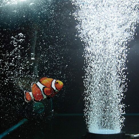 حجر هواء لحوض السمك 4 انش من وايكريت، موزع احجار فقاعات لحوض السمك لحوض السمك والزراعة المائية، عبوة من قطعتين in Kuwait