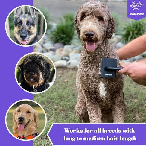 فرشاة Daddle Doodle Dog Slicker - فرشاة العناية بالكلاب مصممة خصيصًا لجميع أنواع القلطي ومزيج رسومات الشعار المبتكرة - زغب، وأناقة، وفك تشابك، وديمات - تصميم مقبض مريح - دبابيس فرشاة ناعمة وزاوية in Saudi Arabia