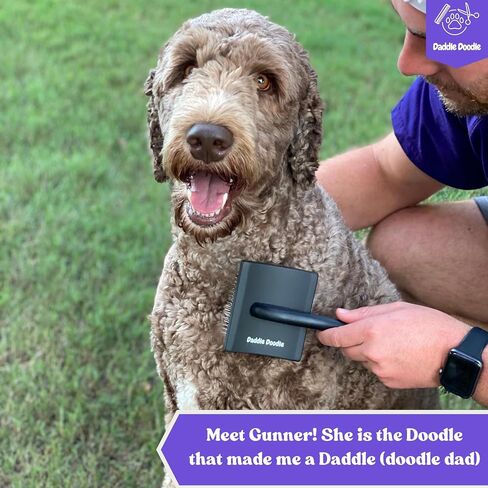 فرشاة Daddle Doodle Dog Slicker - فرشاة العناية بالكلاب مصممة خصيصًا لجميع أنواع القلطي ومزيج رسومات الشعار المبتكرة - زغب، وأناقة، وفك تشابك، وديمات - تصميم مقبض مريح - دبابيس فرشاة ناعمة وزاوية in Saudi Arabia