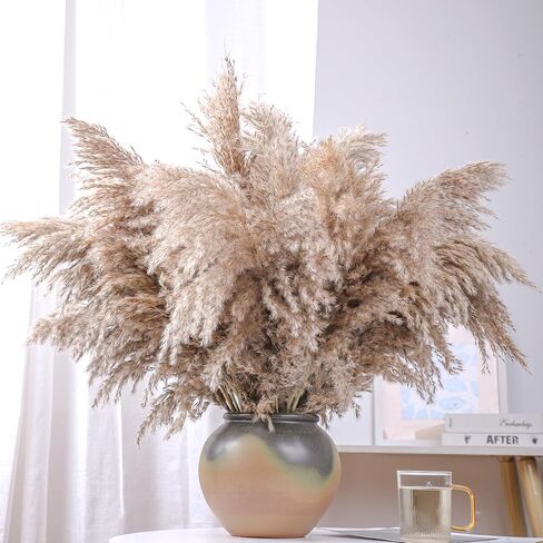 28" inch 20 Stems Large Pampas Grass Decor - Fluffy Brown & White Pampas Grass Decor Tall Pompas Grass for Floor Vase - Boho Home Decor Wedding Decor Natural Flower Bouquet in Kuwait