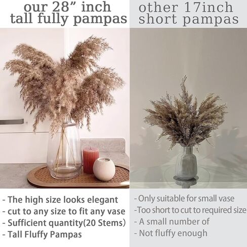 28" inch 20 Stems Large Pampas Grass Decor - Fluffy Brown & White Pampas Grass Decor Tall Pompas Grass for Floor Vase - Boho Home Decor Wedding Decor Natural Flower Bouquet in Kuwait
