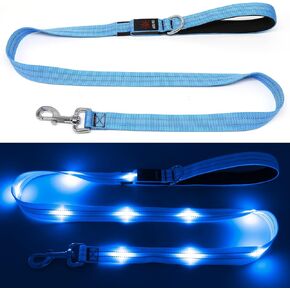 KOSKILL 4 Ft Led Dog Leash, Rechargeable Light Up Dog Leash Waterproof, Safety Glow in The Dark Dog Leash for Night Walking, Nylon Reflective Leashes with Padded Handle for Small Medium Large Pets