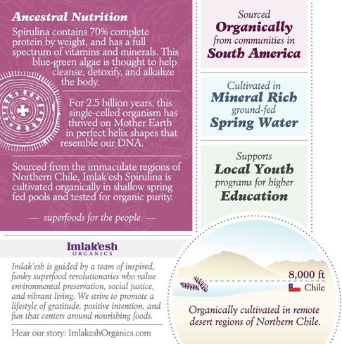 Imlak'esh Organics، مسحوق سبيرولينا (جرة زجاجية سعة 14 أونصة)، الطحالب الخضراء المزرقة — كيتو | باليو | نمت عضويا في تشيلي | خالي من الغلوتين | غير معدل وراثيًا in Saudi Arabia