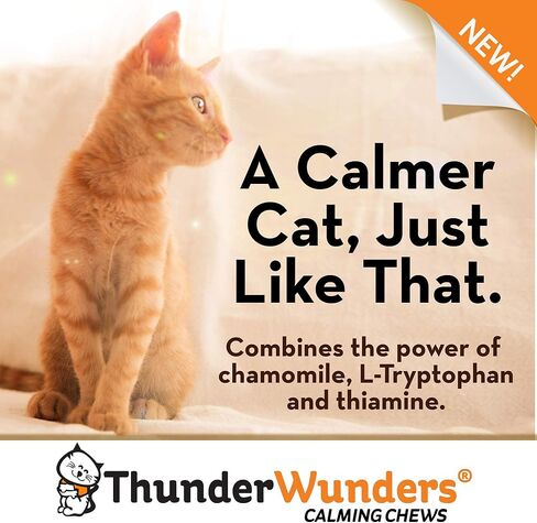 مضغ مهدئ للقطط من ثاندر ووندرز | يوصى به الطبيب البيطري للمساعدة في تقليل القلق الظرفي | رائع لزيارات الطبيب البيطري، والسفر، وقلق الانفصال، والألعاب النارية، والعواصف الرعدية والمزيد | 100 عدد in Kuwait