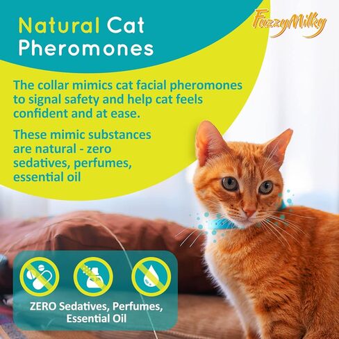 Cat Calming Collars - 4 Packs Cat Collar Infused with Synthetic Pheromones (Blue) - Cat Pheromone Diffuser Necklace for Anxiety Relief, Travel, Keeping Kitty Quiet in Kuwait