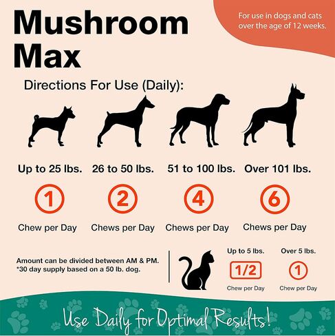 NaturVet Mushroom Max Advanced Immune Support Dog Supplement - 60 Ct in Saudi Arabia