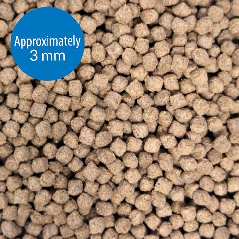 API Tropical PELLETS Sinking Pellets Fish Food in Saudi Arabia