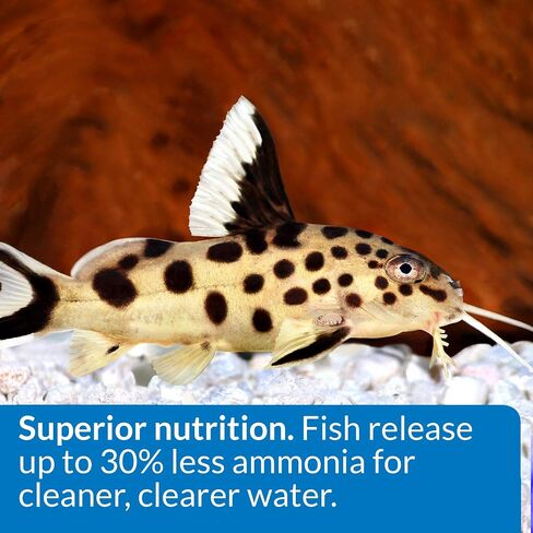 API Tropical PELLETS Sinking Pellets Fish Food in Saudi Arabia