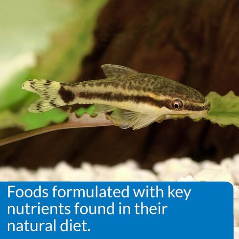 API Tropical PELLETS Sinking Pellets Fish Food in Saudi Arabia