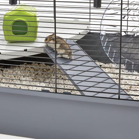 MidWest Homes for Pets XXL Hamster Nation in Saudi Arabia