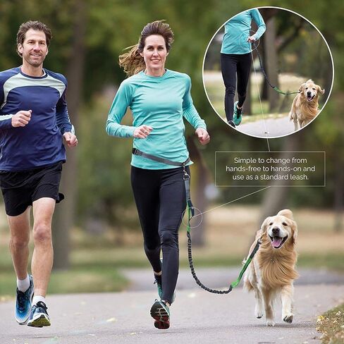 زمام للكلاب بدون يد مع حزام قابل للتعديل، تصميم مطاطي مزدوج - مثالي للجري والركض والمشي من واي ال تي ار دي in Kuwait