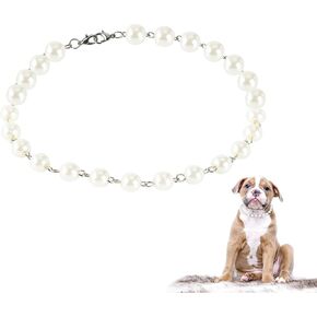 طوق بيرل للكلاب من اناث الكلاب، اطواق للكلاب الصغيرة in Kuwait