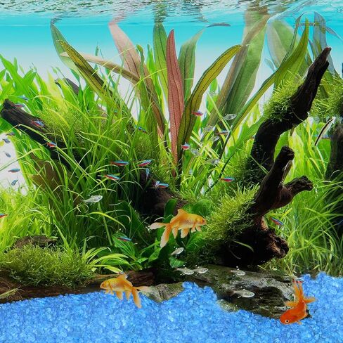 Lechloris Glow in the Dark Stones - 5Ib >2000 Pcs Natural Glow Rocks Pebbles for Outdoor Garden Landscaping Walkway & Indoor Decorative Glowing Stones for Aquarium Fish Tank Halloween Decor DIY (Blue) in Kuwait