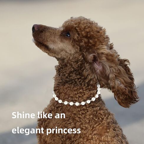 Pearl Dog Necklace for Female Dogs, Girl Dog Necklace for Small Dogs in Kuwait