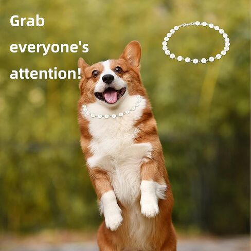 Pearl Dog Necklace for Female Dogs, Girl Dog Necklace for Small Dogs in Kuwait