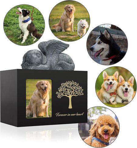 صندوق رماد الكلاب من ذا 7 بوكس للحيوانات الاليفة من الخشب الاسود مع ملاك وشنطة رماد in Kuwait