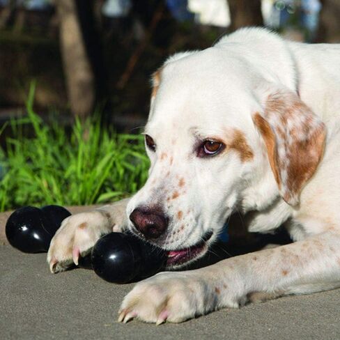 KONG Extreme Goodie Bone, Durable Natural Rubber, Black, for Medium Dogs in Kuwait