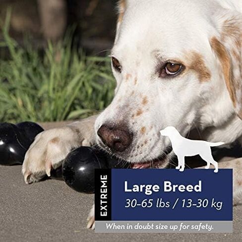KONG Extreme Goodie Bone, Durable Natural Rubber, Black, for Medium Dogs in Kuwait