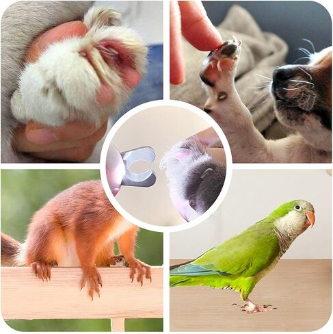 ماكينة قص أظافر الحيوانات الأليفة للقطط والكلاب من بيتجرافيتي مع ضوء LED لتجنب الإفراط في القطع، ماكينة تشذيب أظافر الحيوانات الأليفة الصغيرة مناسبة للمبتدئين، أدوات الحلاقة الاحترافية للعناية بمخالب الحيوانات الصغيرة باللون الأخضر in Kuwait