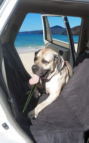 2 بي اي تي حزام امان للكلاب قابل للتعديل مناسب لجميع السلالات - يستخدم مع السرج - جميع انواع السيارات - سلسلة بمشبك حلقة - اخضر واسود in Kuwait