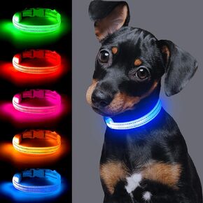 Light up Dog Collar for Small Dog,Vizpet XS Adjustable Size Nylon Collar USB Rechargeable Bright Safety Pet Collar for Cats Dogs (Green)