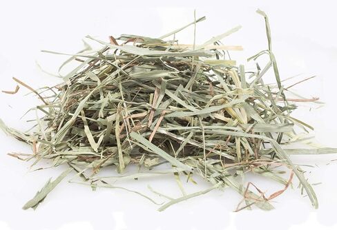 Vitakraft Orchard Grass, Premium Soft Stemmed Hay, 100% American Grown, 28 Ounce Resealable Bag in Saudi Arabia