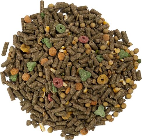eCOTRITION Essential Blend Food For Guinea Pigs, Resealable in Kuwait