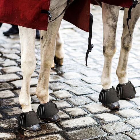 زوج واحد من جزمة الجرس للخيول من زد زد باي، حذاء مطاطي كبير لحماية الحصان مع 10 قطع اربطة بلاستيكية in Kuwait