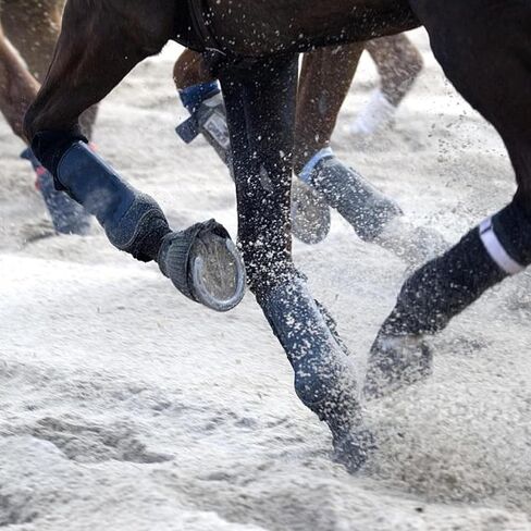 زوج واحد من جزمة الجرس للخيول من زد زد باي، حذاء مطاطي كبير لحماية الحصان مع 10 قطع اربطة بلاستيكية in Kuwait