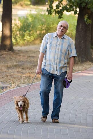 HappyDogz Security Pro Retractable Dog Leash - Heavy Duty Long Tangle Free 16ft Retracting Dog Walking Leash That Keeps Your Dog Safe Happy and Free - for Small Medium & Large Dogs up to 110lbs in Kuwait